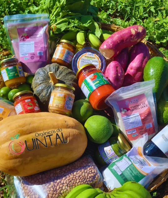 Products from “Orgânicos do Quintal”, interviewed for the Mapping project in April 2025